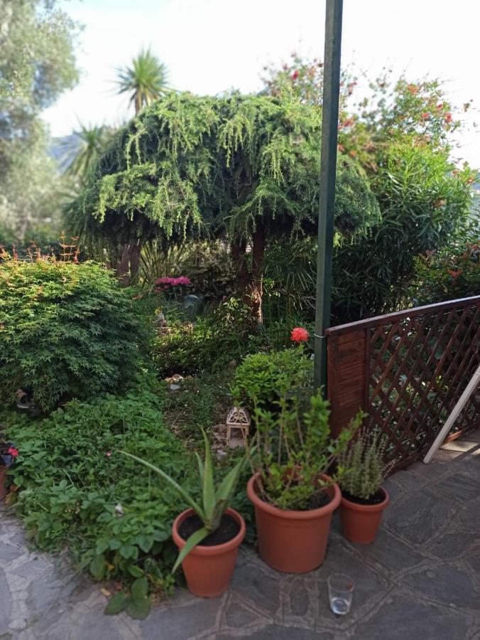 Il Glicine Cozy Appartamnent, Near Sestri Levante Between Cinque Terre E Portofino Casarza Ligure Extérieur photo