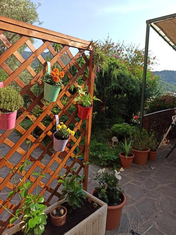 Il Glicine Cozy Appartamnent, Near Sestri Levante Between Cinque Terre E Portofino Casarza Ligure Extérieur photo