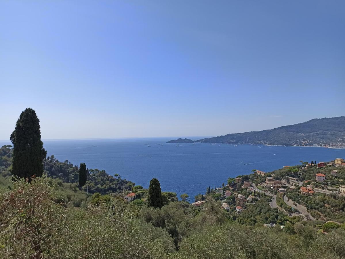 Il Glicine Cozy Appartamnent, Near Sestri Levante Between Cinque Terre E Portofino Casarza Ligure Extérieur photo
