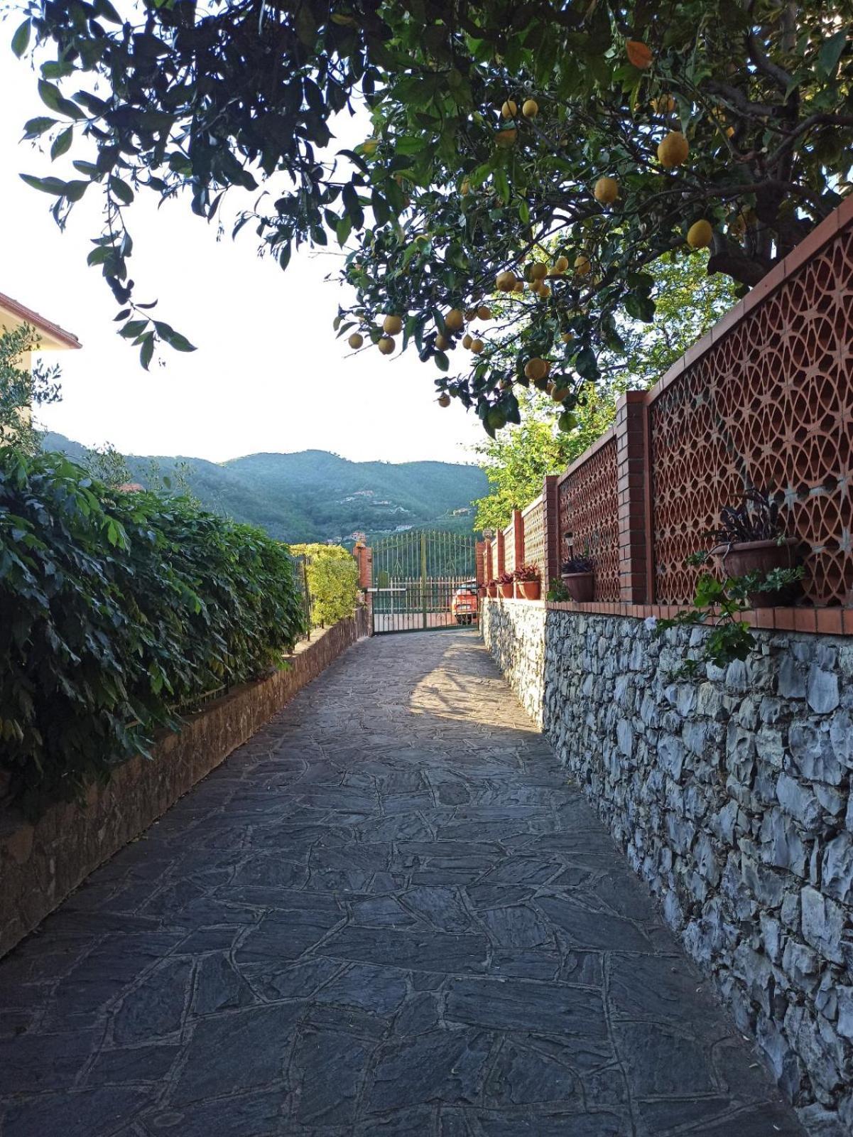 Il Glicine Cozy Appartamnent, Near Sestri Levante Between Cinque Terre E Portofino Casarza Ligure Extérieur photo