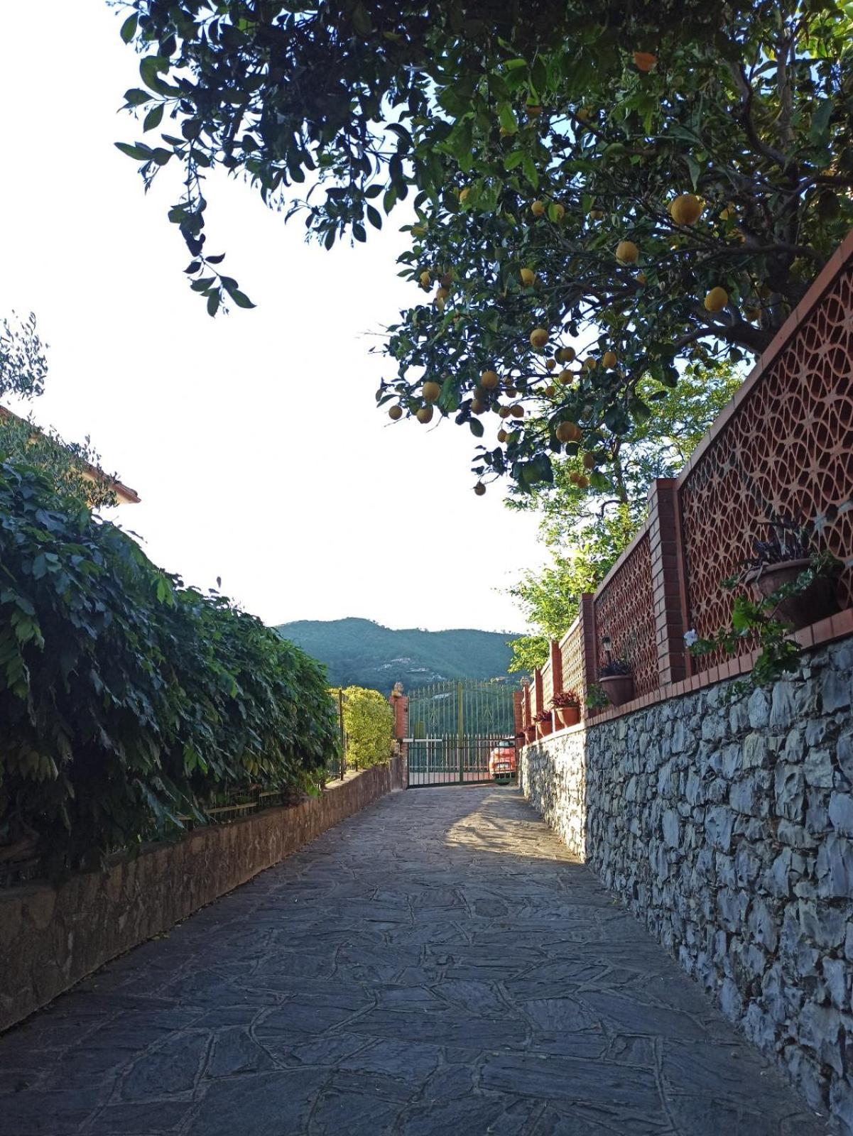 Il Glicine Cozy Appartamnent, Near Sestri Levante Between Cinque Terre E Portofino Casarza Ligure Extérieur photo